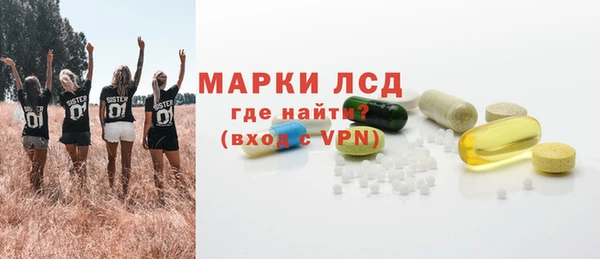 шишки Белоозёрский