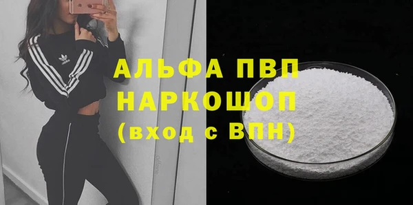 шишки Белоозёрский