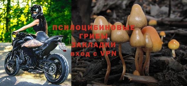 дживик Армянск