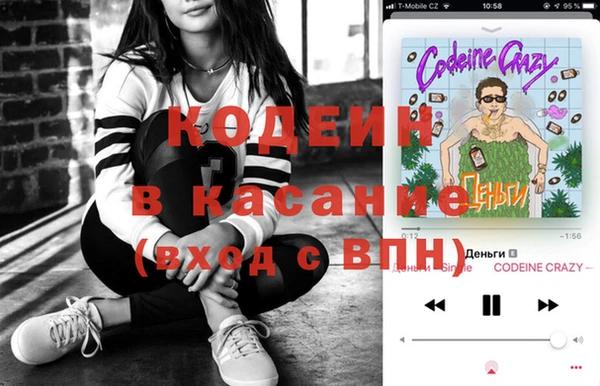 шишки Белоозёрский