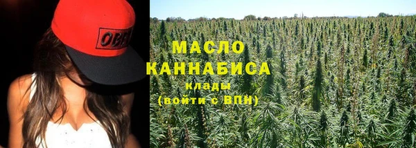 шишки Белоозёрский