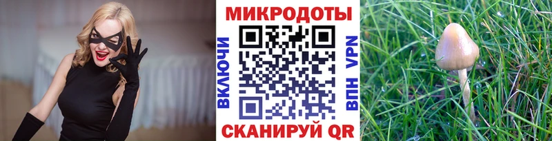 где купить   Новомосковск  Псилоцибиновые грибы мухоморы 