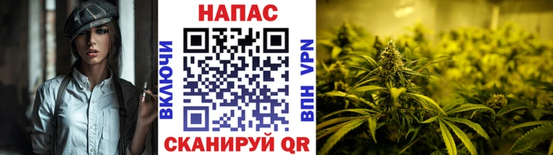 ОМГ ОМГ зеркало Новомосковск Бошки марихуана гибрид